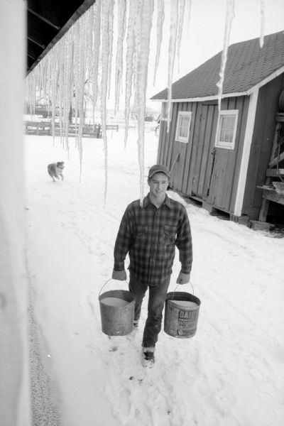 A young man wearing a wool coat is carrying two pails across a snow-covered farm yard. In the background a dog is running to keep up, and icicles are hanging from a building in the foreground. The man is James Faber, an Edgewood High School graduate and a sophomore in the U.W. College of Agriculture.