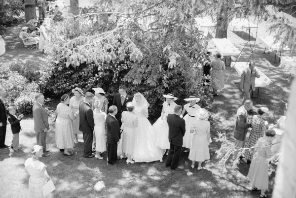 Elevated view of guests greeting the bride, Susan Renk, and groom, Richard Tomlin, at the wedding reception on the lawn of the Renk farm in rural Sun Prairie after their marriage in Sacred Hearts Catholic Church, Sun Prairie.
