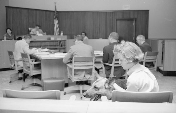 Laurie Curtin, age 13, sitting in a hearing room with the family dog, Bishop, next to her. Her parents, William and Eleanor, are facing perjury charges associated with testimony they gave at a civil suit involving their dog. Acting Superior Judge William Buenzli is presiding at the hearing. The charges were later dismissed by Circuit Judge Richard W. Bardwell.