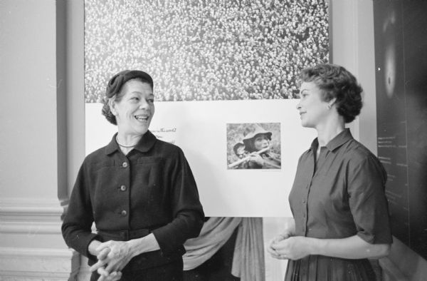 Members of the Madison Art Association and the Women's Auxiliary of the State Historical Society get a preview of "The Family of Man" photographic exhibit at the main floor gallery of the Historical Society building. Shown at the reception are, (L-R): Mrs. Raymond J. Koltes, 35 Ash Street, and Mrs. George Hanson, 1102 Lincoln Street.    