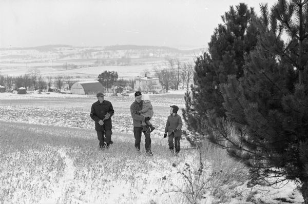 Dennis Bayles, his son-in-law, Le Verne Kirking, and two of the Kirking children, Ann Denise and Duane, trudging through the snow to cut pine branches from the Bayles farm grove of trees.  One in a series of images depicting Christmas activities at the 120-acre farm of Mr. and Mrs. Dennis Bayles, Rt 2, Lodi.