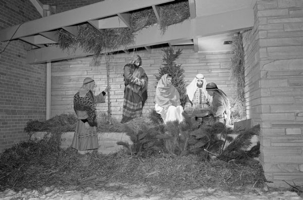 A live outdoor Christmas scene is held at the new Midvale Lutheran Church at 4329 Tokay Boulevard. Live sheep and a burro are used in the creche. The Christmas story is narrated by Maurice White, 505 Togstad Glenn and the senior choir sings Christmas songs. Five members of the Midvale Luther League portray the story. Shown (L-R) are: Andy Dambekaln, 645 Pickford Street, shepherd; Scott VandeWall, 501 Piper Drive, shepherd; Patricia Elver, 641 Piper Drive, Mary; Allan Strauss, 4409 Boulder Terrace, Joseph; and Henry Cuccia, 576 Gately Terrace, shepherd.    