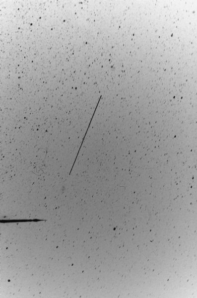 The diagonal streak of Echo, a communications satellite, as it passed over Madison shortly after eleven PM. The image was made with the 35mm camera shutter held open for about 35 seconds.