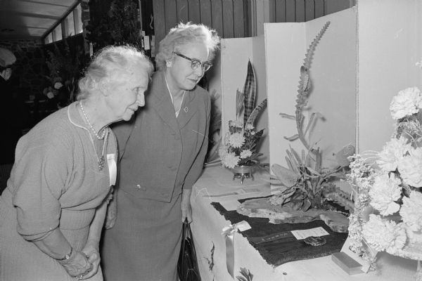 The West Side Garden Club holds its annual "Holiday House" show. Shown (L-R) are Mrs. Mary Ethel Van Hagan, Garden Club President, 2105 Madison Street; and Mrs. W. T. Stephens, 3706 Nakoma Road, examining exhibits of cacti and succulents.