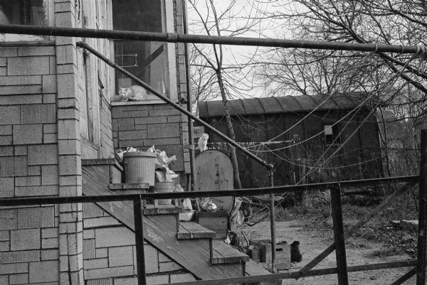 The backyard of the Frances Burnett Gallagher residence at 2129 Center Avenue. The owner who owns four other properties in that block has received many complaints for code violations.