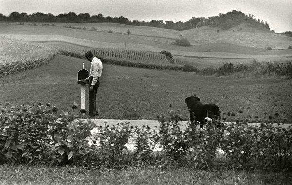 Eugene W. Olson and his dog, Travis, check the mailbox on a road near West Salem. In the background are fields on a hill.