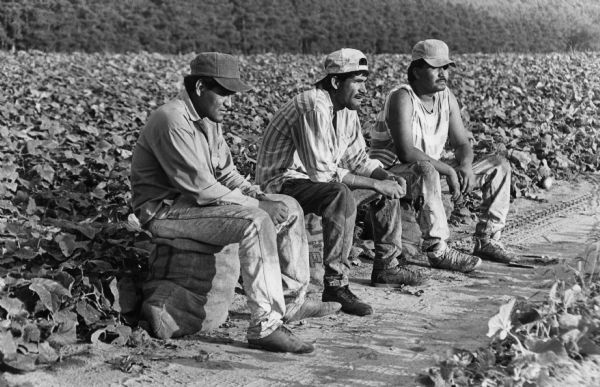 Three men sitting on sacks and taking a break from their work in the field.