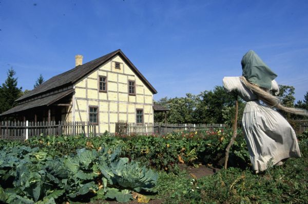 A scarecrow watching over her crops with a farmhouse in the background. This is a part Old World Wisconsin.