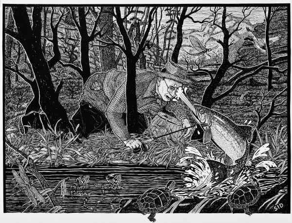 Imaginative pen-and-ink drawing of a view across water towards a fisherman wearing waders and holding his spinning rod and creel is crouching  on his hands and knees while a large trout leaping from the water squirts him in the face. Turtles, frogs and dragonflies are witnessing the act. In the background are hills and a duck flying in the air. Sid's authorship is in the lower right corner. 