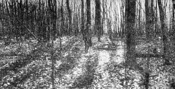 An unidentified man standing in a wooded area. A light snowfall has highlighted linear ridges in the soil which indicate the location of Stockbridge Indian garden beds.