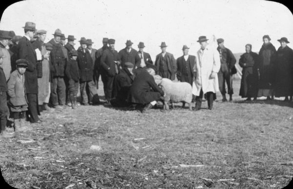 A man in a light-colored overcoat, possibly Joseph Wojta, standing behind a sheep being inspected by two other men. A group, including men, women and children, are observing. Wojta, a Universtiy of Wisconsin Extension agent, was teaching an Indian farmers course at the Red Cliff Ojibwe reservation.
