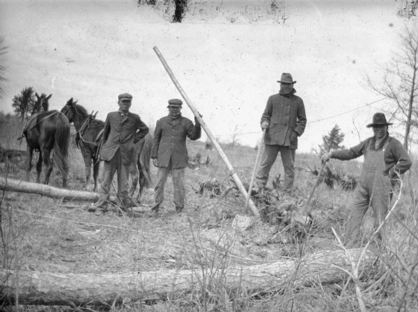 Four Native American men posing while clearing land for farming. One man is standing atop a stump which has been pulled from the ground. Another man is holding an axe, and a third man is holding a simple log puller (a long pole with a metal hook.)  The fourth man is holding the reins of a team of two horses. There are two large logs on the ground.  