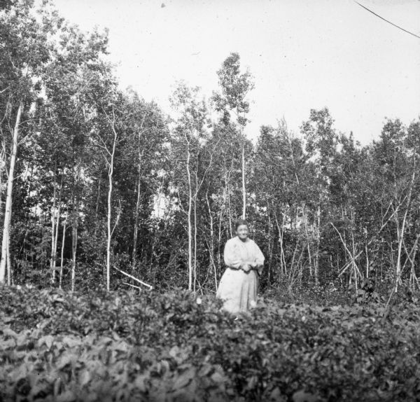Mrs. Antoine Buffalo, Jr., posing in a field at the edge of a wood. She is a member of the Chippewa (Ojibwe) tribe, and a farmer. On the right are several pole trellises with vines growing on them.