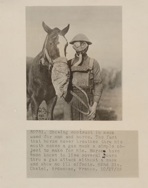 Original caption reads, "Showing contrast in mask used for man and horse. The fact that horse never breathes thru his mouth makes a gas mask a simple object to make for him. Horses have been known to live several hours thru a gas attack without a mask and show no ill effects. 82nd Div. Chtel, Ardennes, France."