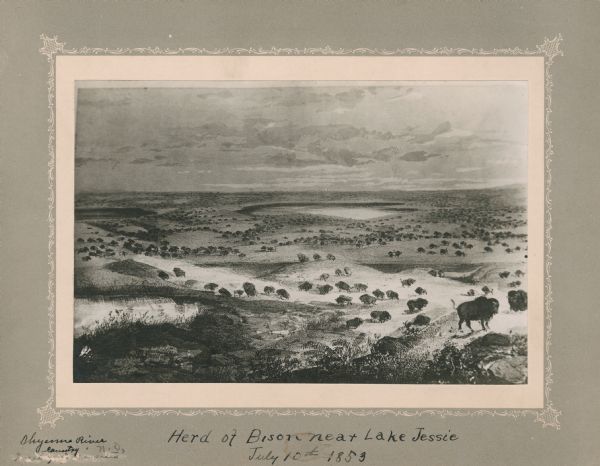Print on card depicting a herd of Bison near Lake Jessie. Written under the title is the date: "July 10th, 1853" and "Shyenne River County."