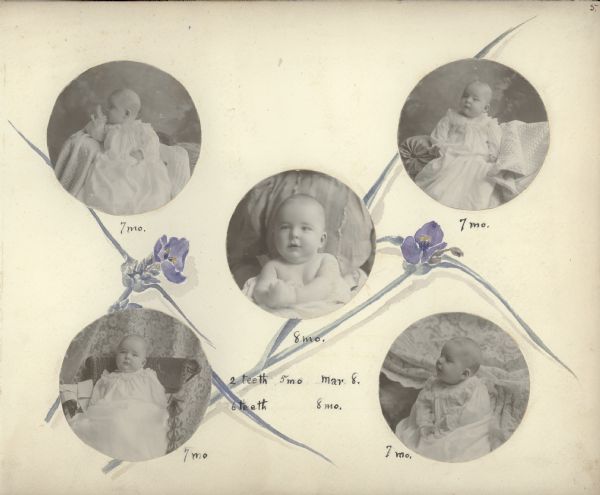 An album page featuring five circular portraits of Stuart Fargo. At center is a head and (bare) shoulders portrait of him at age eight months. At the four corners are portraits of Stuart at age seven months wearing a long gown with lace trim. The page itself is decorated with watercolor paintings of two stems of Tradescantia (spiderwort) blossoms, painted by Stuart's mother, Louise Mears Fargo.