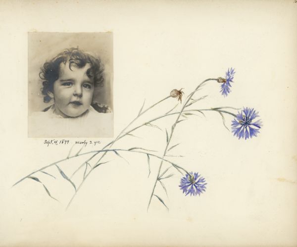 A head and shoulders photographic portrait of Stuart Fargo is mounted to a hand-painted album page. The watercolor painting is of four stems of blue cornflower (bachelor's buttons).