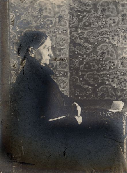 A seated, full-length portrait in profile of Elizabeth Farnsworth Mears (1830-1907), early Wisconsin poet and author whose work was published under the pen name Nellie Wildwood. She is wearing a long black dress and is seated at a writing table. There is a small piece of folded paper with handwriting on it lying on the table. Boldly printed fabric covers the folding screen behind her. Born in Groton, Massachusetts, Elizabeth Mears lived most of her life in Oshkosh. In her old age she lived in Lake Mills and died there at the home of her daughter, Louise Mears Fargo.