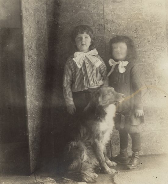 Stuart Fargo, left, standing with his brother Frank behind their dog, Mark. The boys are wearing large bow ties. Behind them is a folding screen.