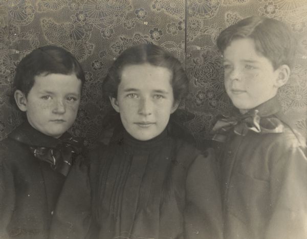 The children of Frank B. and Louise Mears Fargo posing in front of a folding screen for a quarter-length portrait. They are, from left, Frank Jr., age five years; Dorothy, age 11; and Stuart, eight. The boys are wearing large bow ties; Dorothy is wearing a large bow in her hair.