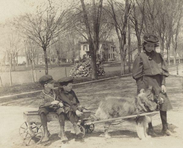 Mark, the Fargo family dog, has been harnessed to a Coaster wagon and has a bit in his mouth. Frank Fargo is sitting in the front of the wagon holding the reins; his brother Stuart is sitting behind him. Dorothy, the boys' older sister, is standing alongside. They are in the driveway of the Frank Fargo house on Mulberry Street.  