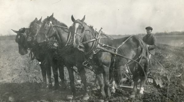 Stuart Fargo sitting on a disk pulled by a team of four horses on the F.B. Fargo farm.