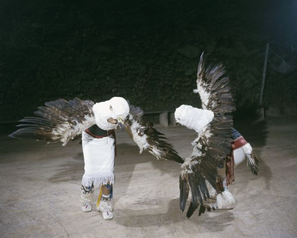 Two men dressed in eagle costumes, perform the Eagle Dance. The men are dressed in eagle costumes with feathered tails, wings, and head.