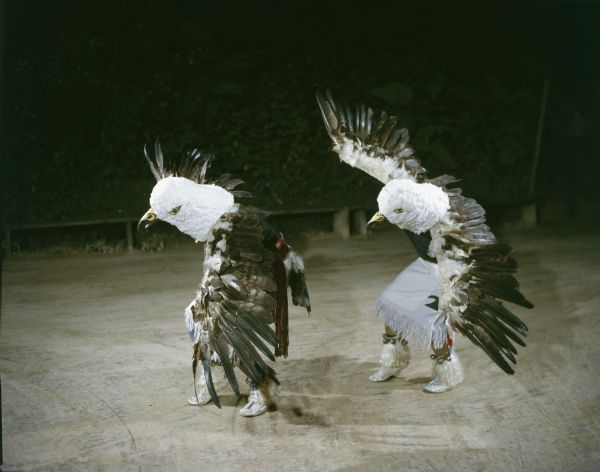Two men, wearing Eagle mask and feathered wings, performing the Eagle Dance at the Stand Rock Indian Ceremonial.