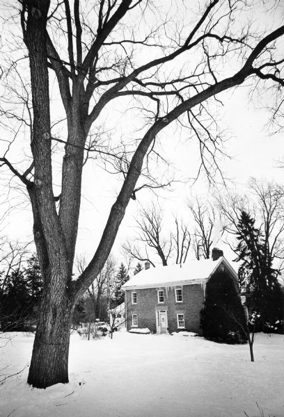 A large black walnut tree standing in the yard of the Spring Tavern at 3706 Nakoma Road. Also known as the Spring Inn or Spring Hotel, the structure was built of bricks made on site by Charles Morgan in 1854.