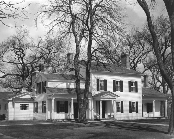 A tall, stately Ohio buckeye tree standing just to the left of the porticoed entry of the Greek Revival Wilcox house at 707 N. Broadway Street. Five sturdy brick chimneys are visible. The 1836 house comprises a two-story central portion with a one- and one-half story wing on the left and a one-story wing on the right, both with single story columned porches. There is another small wing on the left. The buckeye tree is thought to have been planted at the time the house was built and was still standing in autumn 2015.