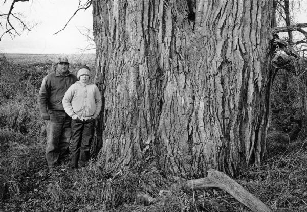 An unidentified man and boy, probably John Crombie and his son, posing next to the large trunk of an Eastern poplar, <i>Populus deltoides</i> on the Crombie farm near Columbus. The tree is listed in R. Bruce Allison's 1980 book <i>Wisconsin's Champion Trees</i> as the largest of its species in Wisconsin.