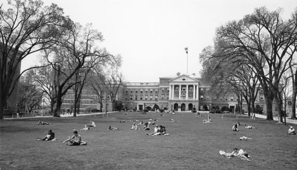 Tall, spreading elms line the sidewalks leading up the mall to Bascom Hall on the University of Wisconsin-Madison campus. Van Vleck Hall is to the left. Students are sitting and lying on the grass of the mall. The elms were planted in the 1850's. In 2004, 16 of the Bascom Hill Elms had survived Dutch elm disease and were still living. As of October 2016, only three of the large old elms remained. 