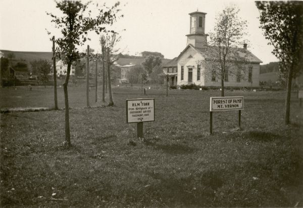 Two signs are posted in an open area planted with young trees. One sign identifies the "Forest of Fame Mt. Vernon," and the other sign the "Elm Tree from Birthplace of — President Hayes, Freemont, Ohio, 1924."  There is a school or church with bell tower in the background, as well as three large houses. The Forest of Fame was planted by University of Wisconsin professor John Sweet Donald on land he owned. The first trees were planted in 1916. The land is now a town park.