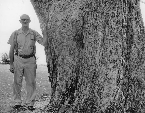 Wally Koehn (1915-1998) posing with his left forearm resting against the giant trunk of a northern catalpa (<i>Catalpa speciosa</i>) on the Wrigley estate "Green Gables." Koehn, a native of Germany, was the groundskeeper of the estate for many years. The tree was named the largest known specimen of its species in Wisconsin in 1979. The trunk of the tree was nearly 18 feet in circumference.