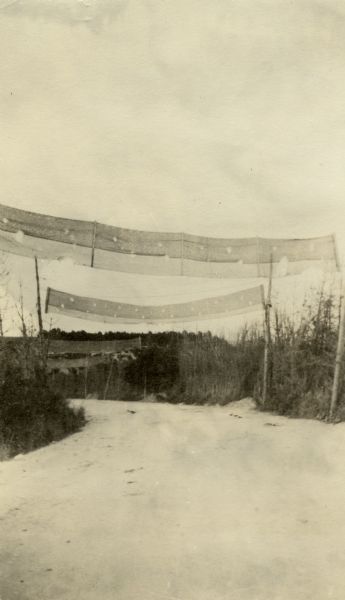Screens prevent hostile balloons from viewing a French road. Captioned: "A very successfully camouflaged French road. The screens across the road are to prevent hostile observation balloons from watching the highway."