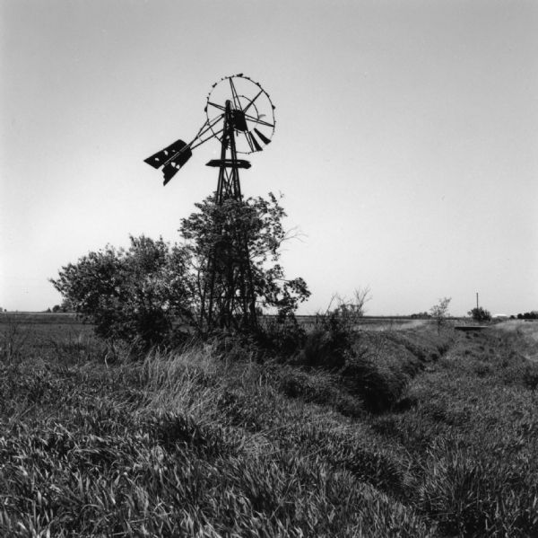 An old and worn windmill standing in a field. Overgrown shrubs are climbing up the base of the windmill. A road and farm buildings are in the far distance. 