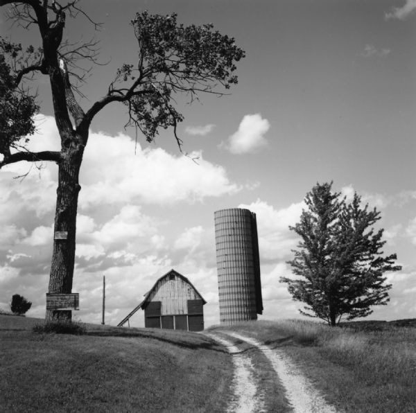 A small gravel two-track driveway is leading up a hill to a worn barn and silo. Two trees are standing on either side of the driveway, with the taller one, on the left, bearing two hand-painted signs, one of which reads "No Trespass."