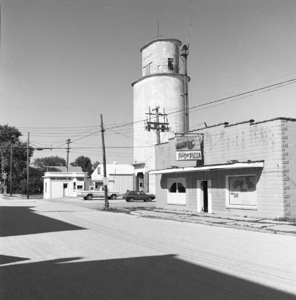 A large grain elevator rising above the one-story buildings that surround it on a gravel road. A car and truck are sitting in the parking lot to Carr Elevators, Inc. A brick building along the gravel road on the right has a sign and window decal that read: "Village Pizza." At the end of the gravel road along on the far left is a railroad crossing sign and gate.