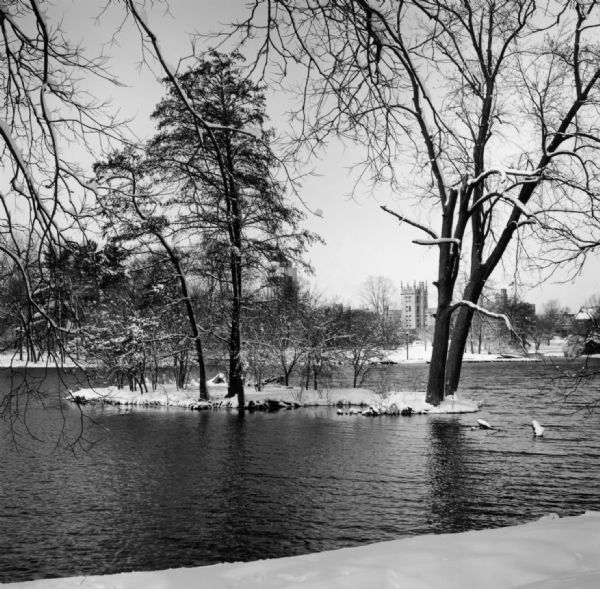 Snow covered trees are growing out of a small island on a lagoon, with more trees lining the shore. In the distance are the central buildings of Northern Illinois University, including the tower of the Holmes Student center, and the castle-like Williston Hall.