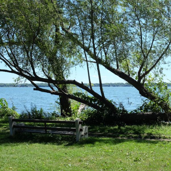 View across lawn towards Lake Monona through the trees and tall grasses growing along the shoreline. There is a bench in the foreground next to a dirt path. The opposite shore is in the background. 