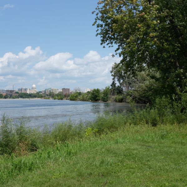 View of Monona Bay. Grass and trees are growing along the shoreline. Downtown Madison, including the Wisconsin State Capitol, is on the opposite shoreline.