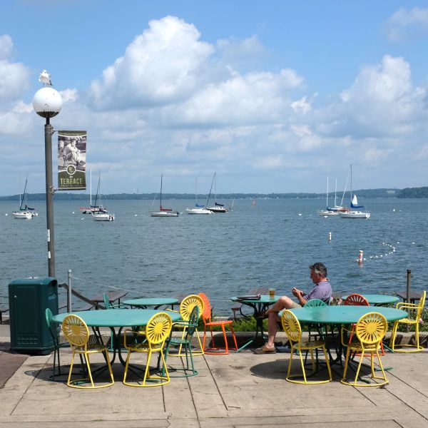 View of Lake Mendota from the Memorial Union Terrace. A man is sitting in one of the terrace chairs at one of the tables, looking at his phone. A seagull is perching on the top of a lamppost on the left. In the background are sailboats at anchor in the water, and in the far distance is the opposite shoreline.