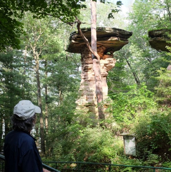 View from walkway of Stand Rock rising out of the bushes and trees surrounding the geological formation. A net is strung low between Stand Rock and the nearby cliff. Richard Quinney is standing in the foreground on the left near the railing looking up. Along the lower path the iconic photograph of a man jumping from the cliff to Stand Rock is in a framed wooden marker.