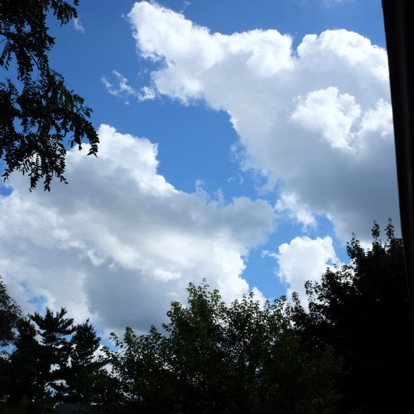 View looking up towards a bright blue sky and large white clouds through a window. The tops of trees frame the left side and lower edge.
