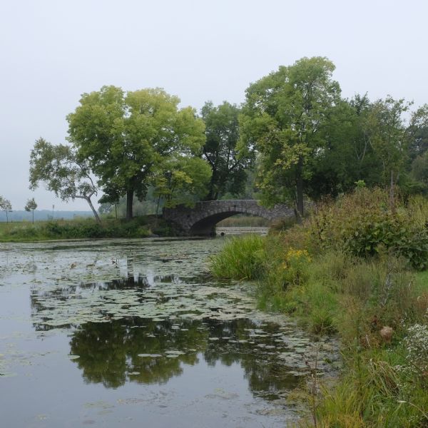 View along shoreline towards a stone, arched bridge over the lagoon at Vilas Park. Lily pads are on the surface of the lagoon, and trees, tall grasses and other plants are growing on the shoreline.