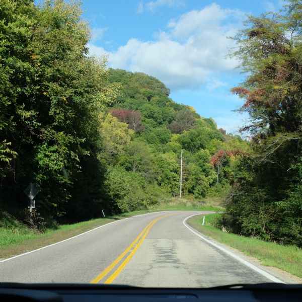 View through the windshield of a car of a curving road lined with trees on both sides.Most of the leaves on the trees are green, but a there are some leaves turning red or yellow.
