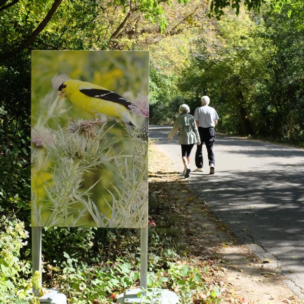 View of a sign with a photograph of an American Goldfinch on a thistle posted on the side of a paved path lined with trees and plants. Just beyond the sign is a man and woman walking away down the road.