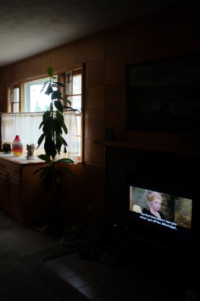 View of the interior of a private home. The foreground is dark, except for the television screen which is showing a woman. The subtitles of the movie read: "the first time when I saw you when I got off the Mississippi..." Light coming in through a window in the background is lighting up a chest of drawers, and a tall houseplant. 