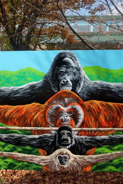 A painted sign at the zoo featuring various primates with their arms spread out wide. Behind the sign are trees and a building.