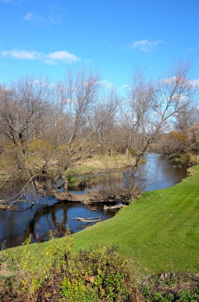 View looking down towards a green lawn along a riverbank. Extending out from the shoreline is a tree with a long horizontal trunk extending into the Sugar River. 